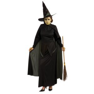 The Wizard of Oz Wicked Witch Costume